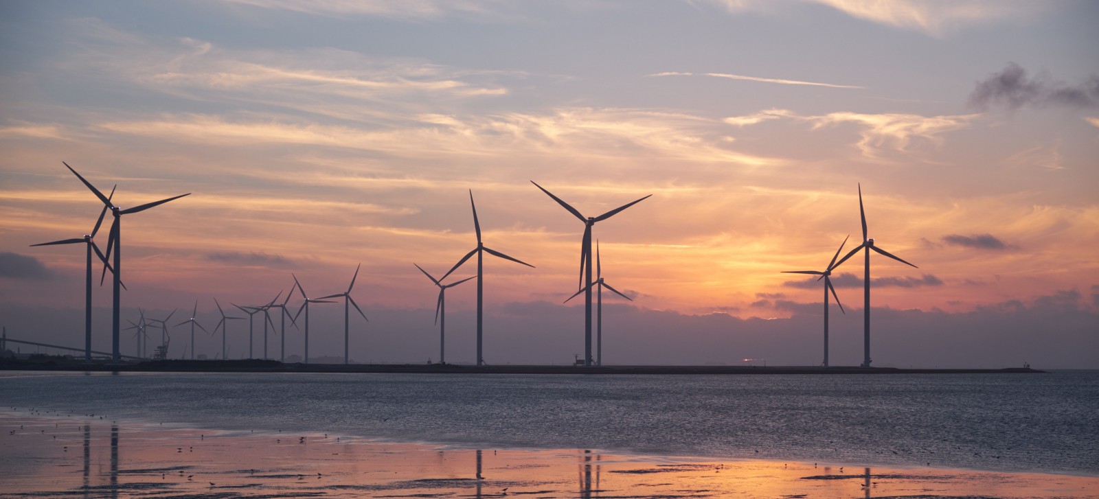 Wind Far, at Sunset